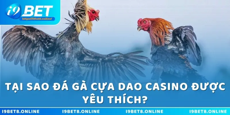 Tại sao đá gà cựa dao casino được yêu thích?