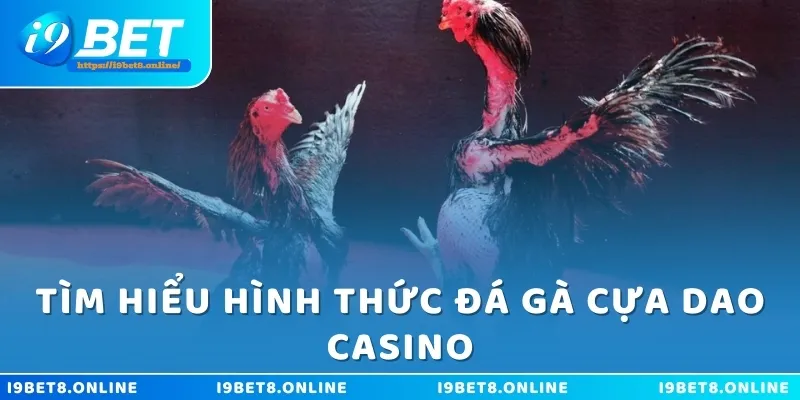 Tìm hiểu hình thức đá gà cựa dao casino