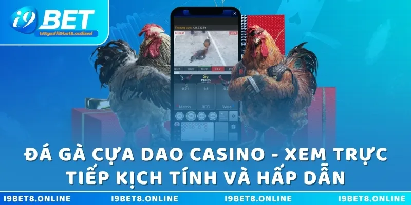 Đá gà cựa dao casino