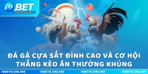 Đá gà cựa săt đỉnh cao