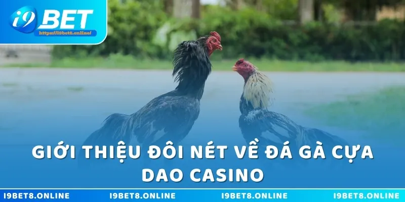 Giới thiệu đôi nét về đá gà cựa dao casino