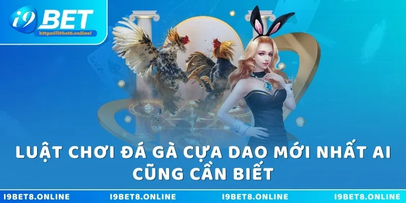 Luật chơi đá gà cựa dao mới nhất ai cũng cần biết