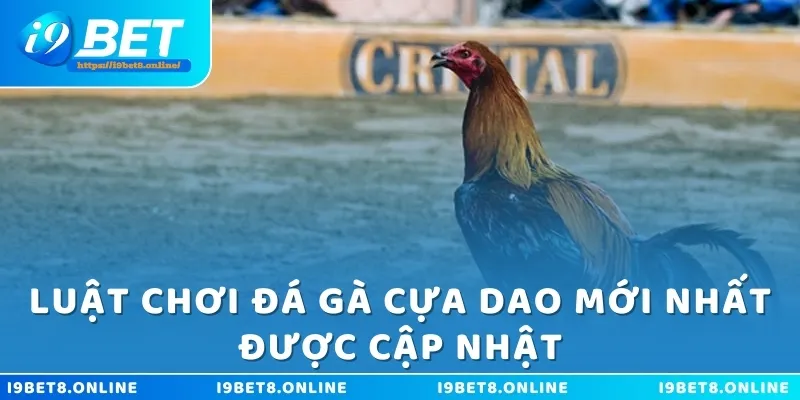 Luật chơi đá gà cựa dao mới nhất được cập nhật